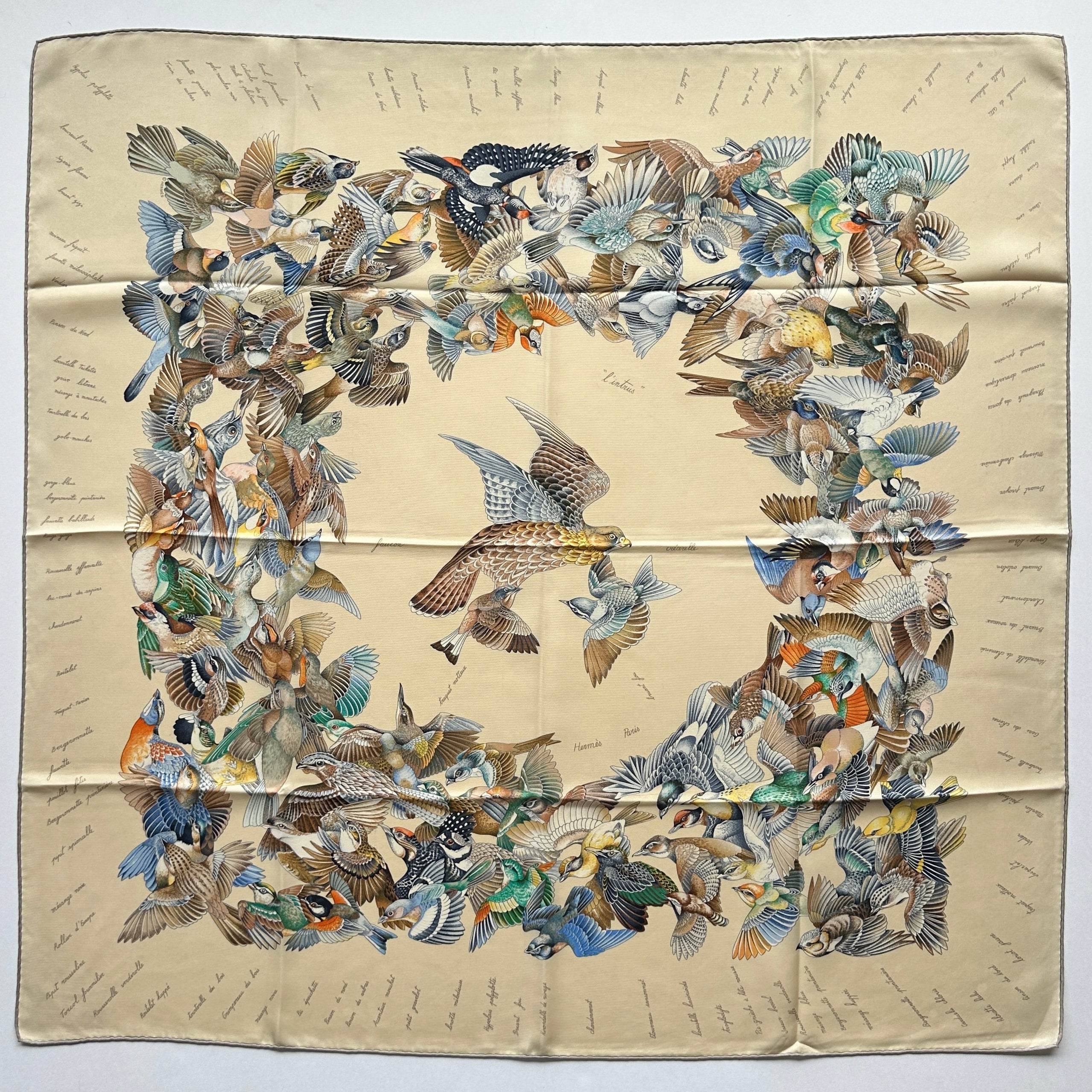 Carré Hermès "L'Intrus" (1996) sur fond beige, illustrant une nuée d'oiseaux multicolores entourant un rapace central.